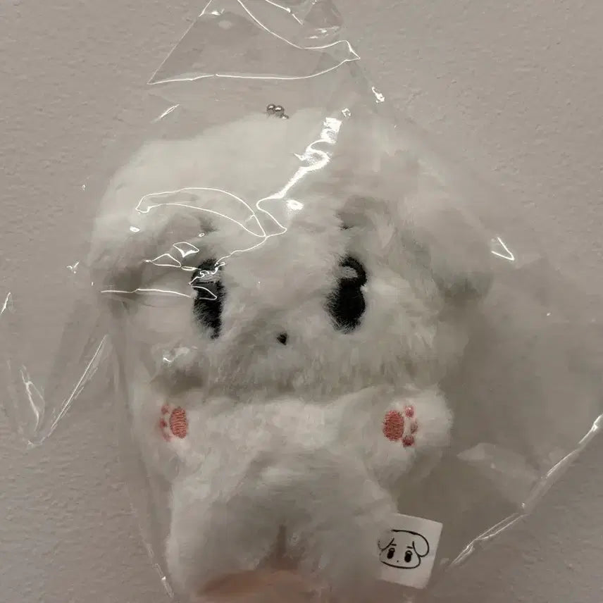 에스파 윈터 비공식 인형 삼직이 직직이 미개봉 양도