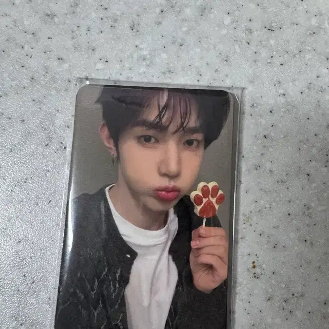 제로베이스원 제베원 가요대제전 사녹 역조공 포카세트 9장