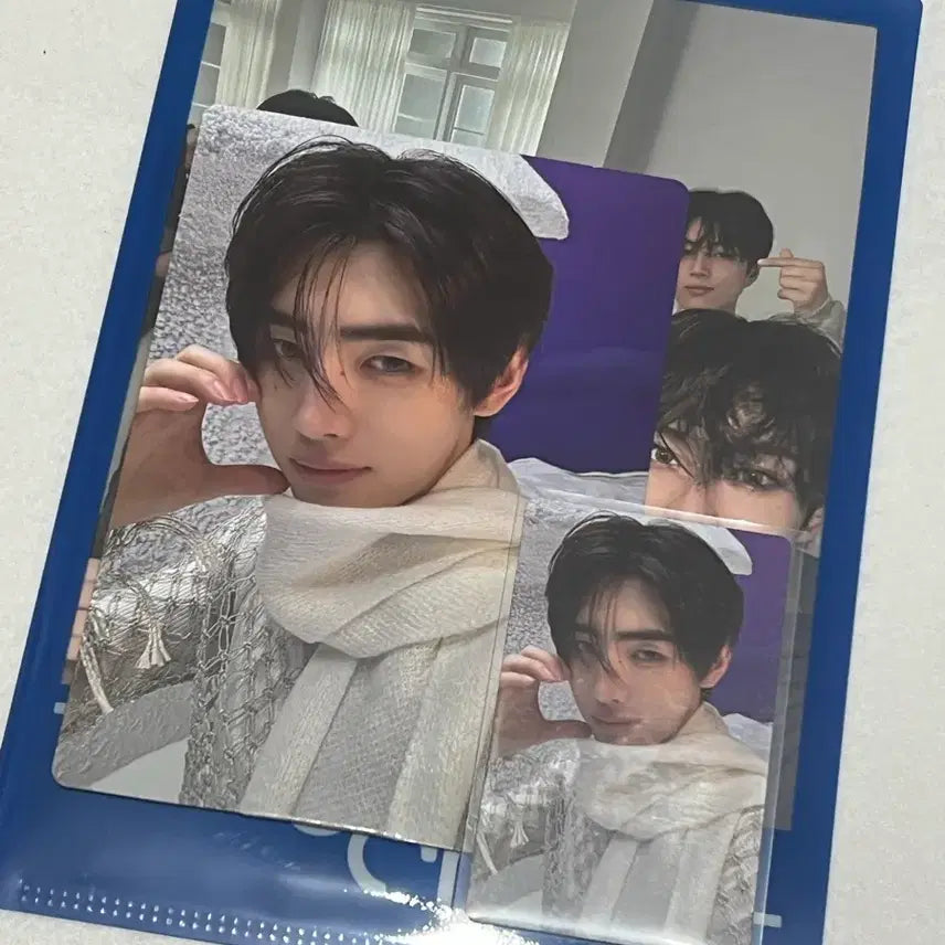 일괄) 엔하이픈 성훈 데이드림 위버스 특전