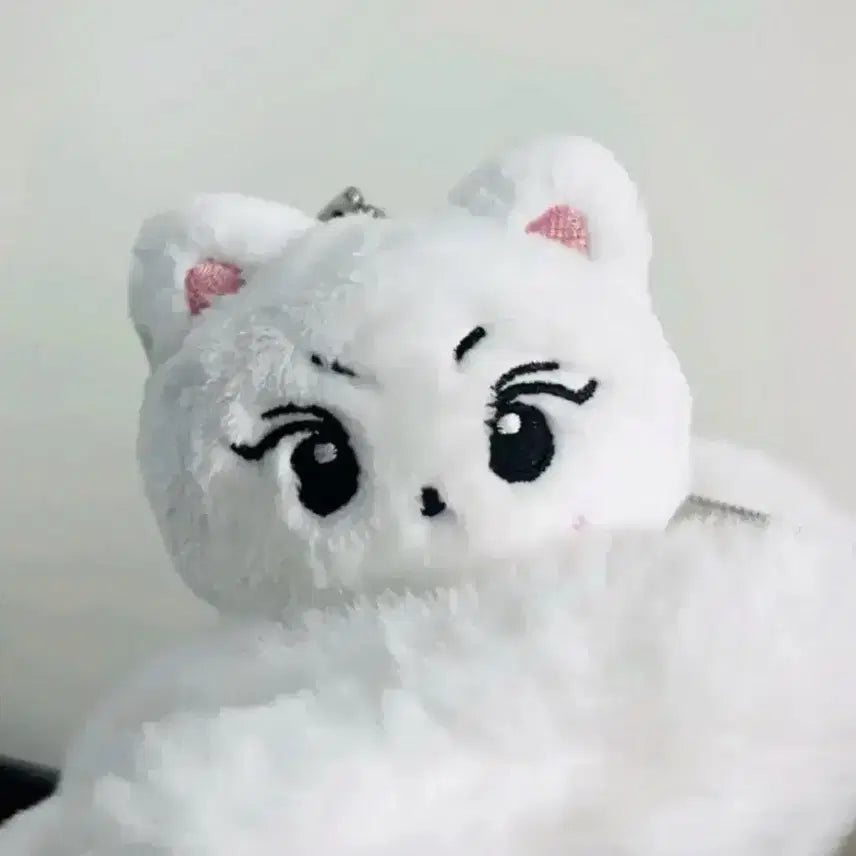 엔하이픈 정원 인형 양꼬미 enhypen jungwon