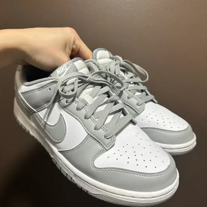 [BUNJANG] Nike Dunk Low Retro / 나이키 덩크로우 레트로