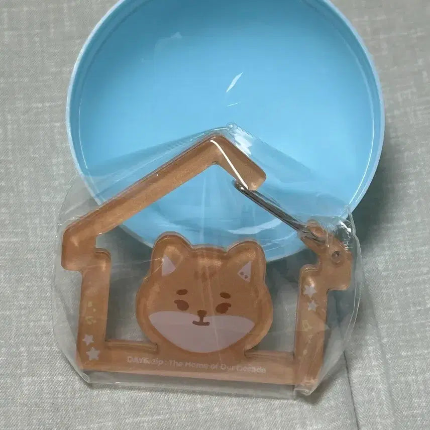 데이식스 팝업 카라비너 케