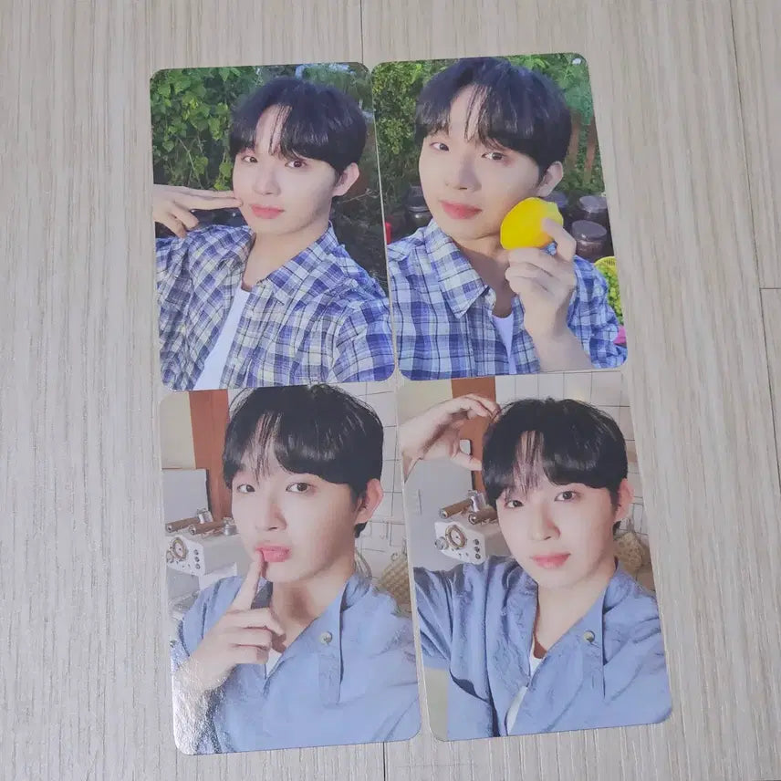 비투비 2026 시그 시즌그리팅 임현식 포카 4장 세트