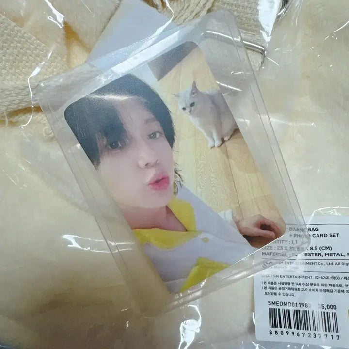 샤이니 태민 꿍이&댕이 가방 세트 (댕이 가방만 포카 있음)