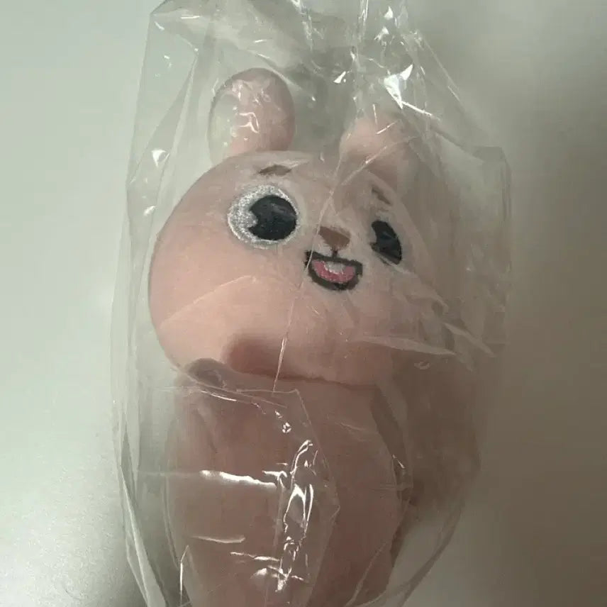 데이식스 손난로 인형 필