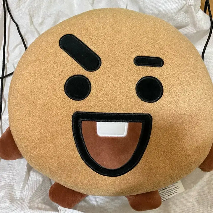 BT21 슈키 얼굴 쿠션