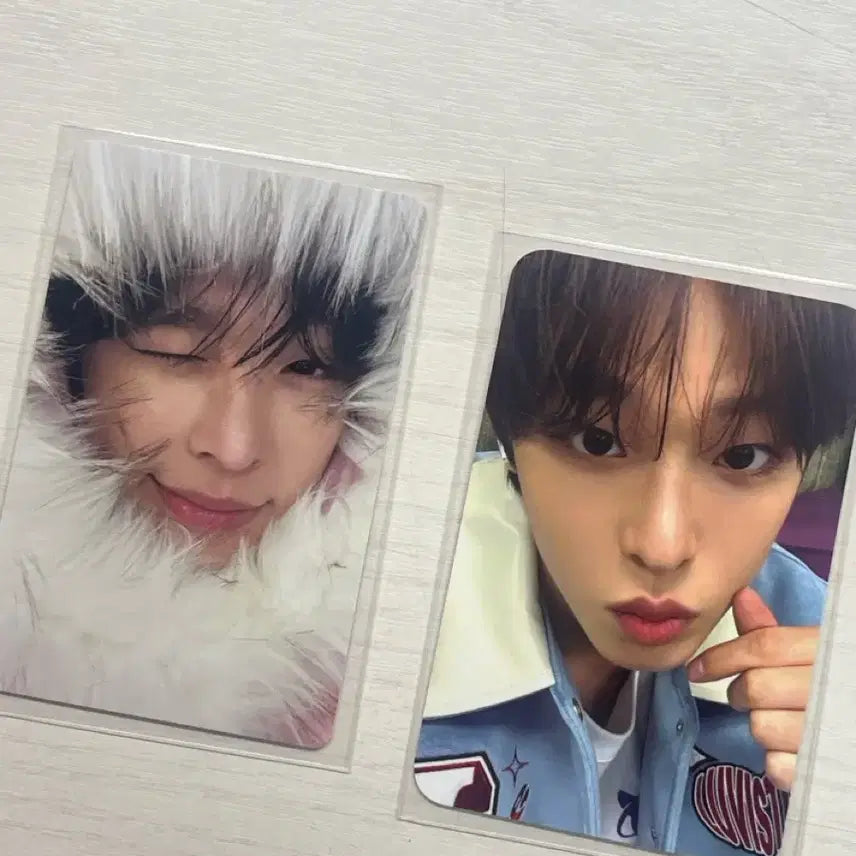 반택비 포함)  리쿠 포카