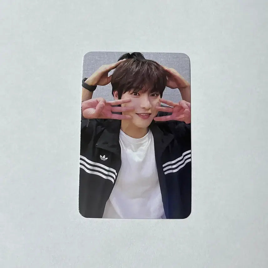 [BUNJANG] ONEWE Yonghoon Photocard / 원위 용훈 멍냥 냥멍 포카 포토카드 양도 onewe