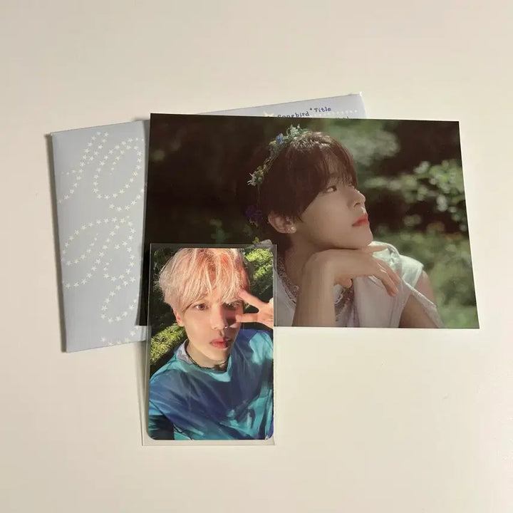 엔시티위시 송버드 레터버전 개봉앨범