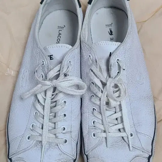 [BUNJANG] Lacoste Shoes / 라코스테  신발팝니다