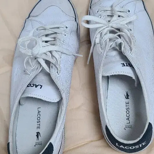 [BUNJANG] Lacoste Shoes / 라코스테  신발팝니다