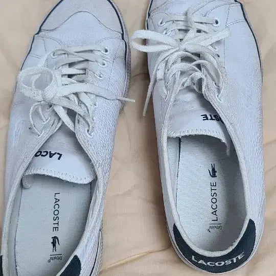 [BUNJANG] Lacoste Shoes / 라코스테  신발팝니다