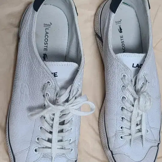[BUNJANG] Lacoste Shoes / 라코스테  신발팝니다