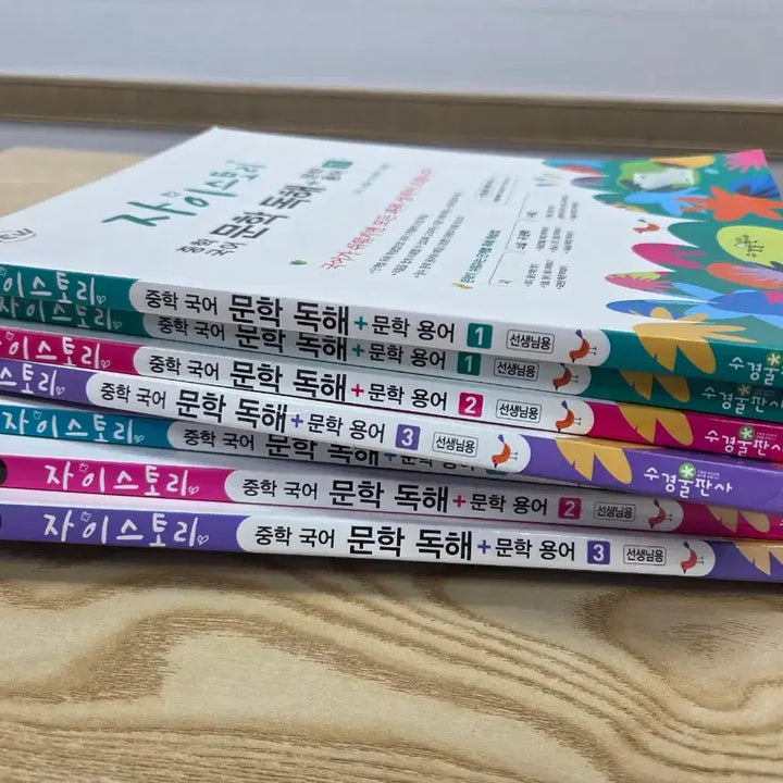 [BUNJANG] Zistory Middle School Korean Literature Reading Comprehension Textbook Bundle / (교사용)자이스토리 중학국어 문학독해+문학 용어 1,2,3