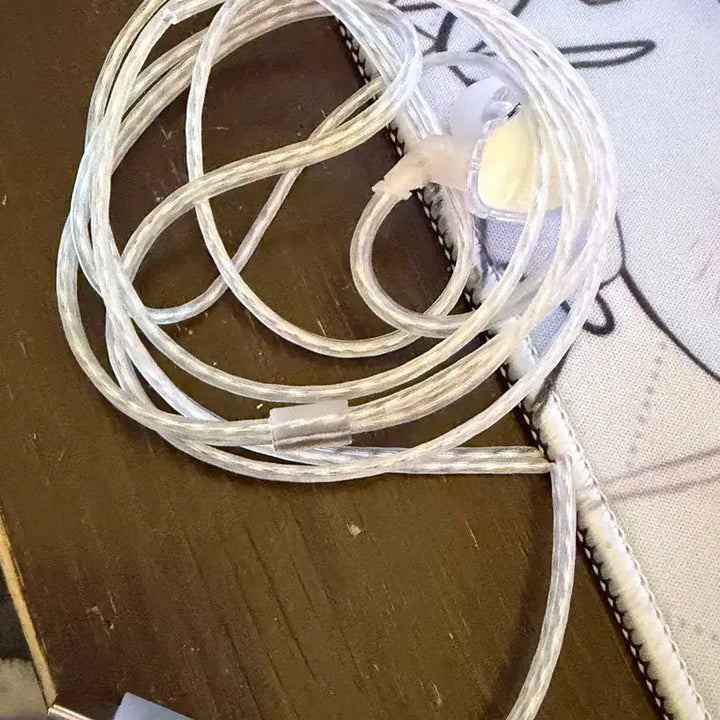 아일릿 인이어 망가진 인이어 앨범