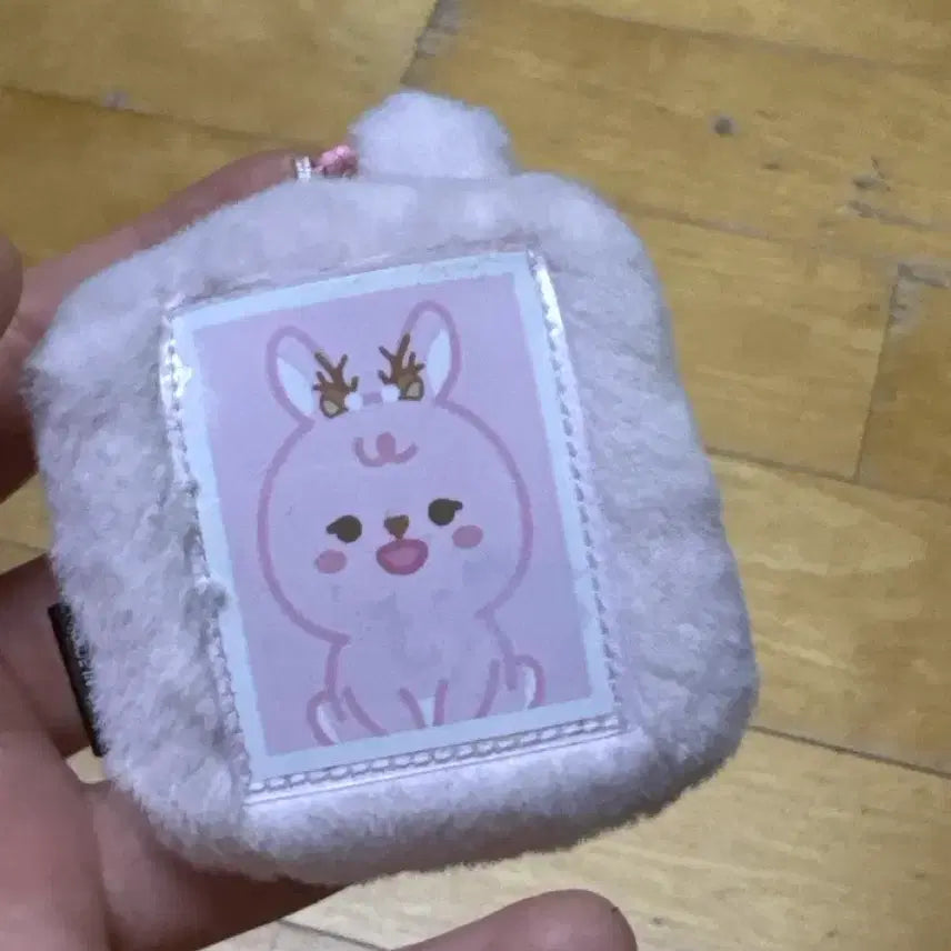 데이식스 쁘띠멀즈 ID 증명사진 홀더 2024 클콘