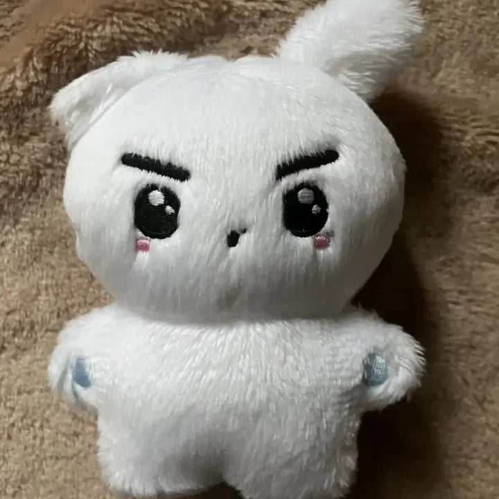 더보이즈 영훈 인형 빵식이