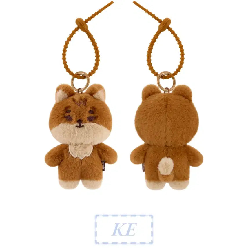 데이식스 쁘띠멀즈 태닝 케