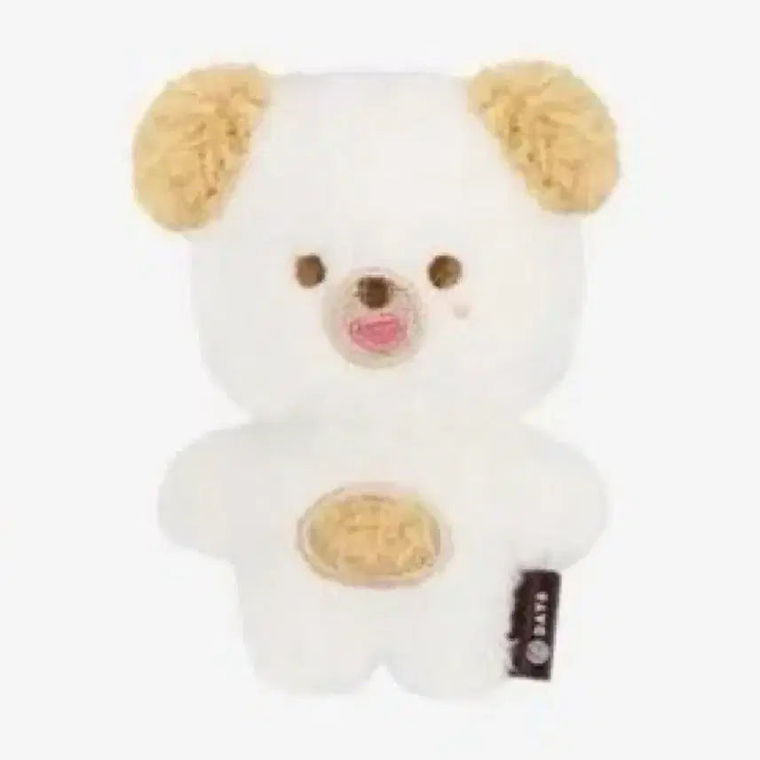 데이식스 쁘띠멀즈 마그넷 돈