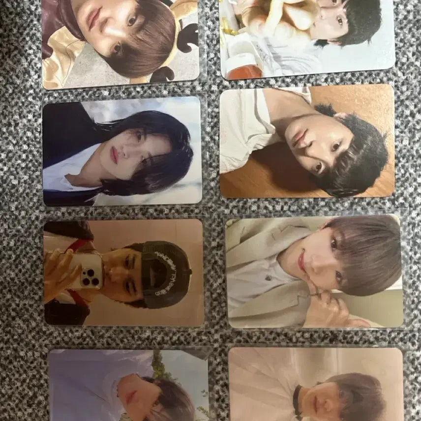 라이즈 포토카드 앤톤 쇼타로 원빈 소희 일괄