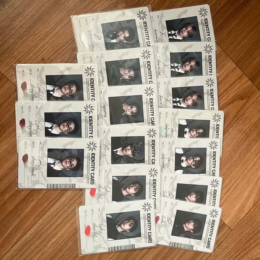 앤팀 고인블라인드 포토카드 양도