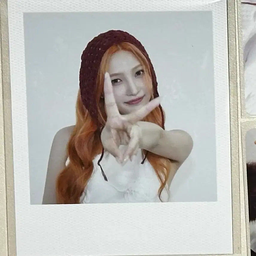 레드벨벳 2026 시즌그리팅 시그 조이 폴라