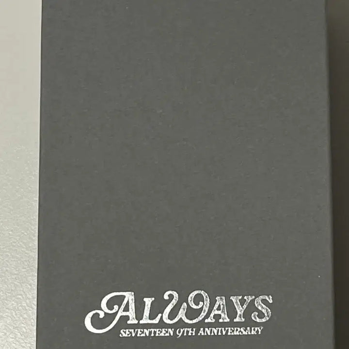 세븐틴 9주년 조슈아 목걸이 (포카 미포함)