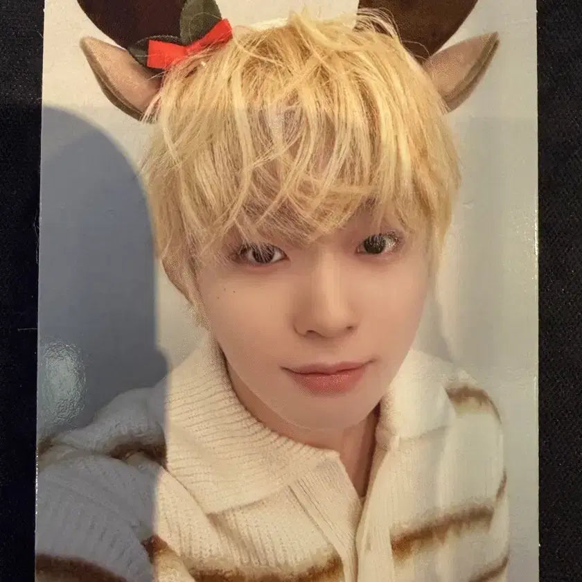 킥플립 케이주 공방 포카 가요대전 가요대제전 연말 루돌프