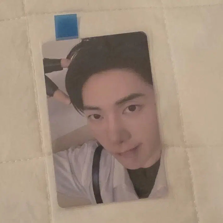 제베원 시그 양도 (한빈제외 모두 일괄)