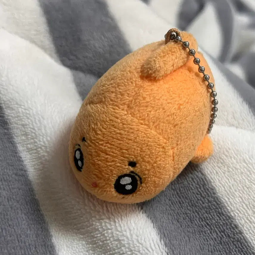 보넥도 이한 금한이 판매