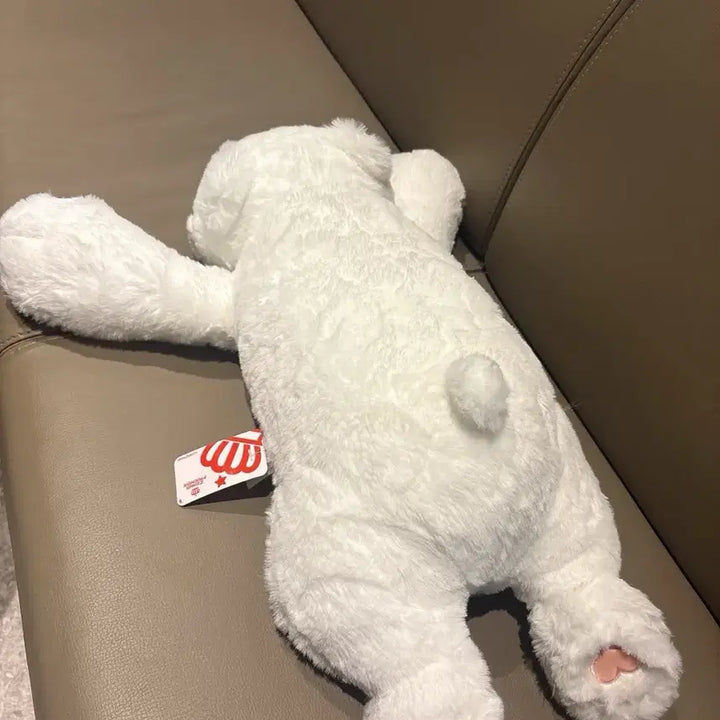 [BUNJANG] Teddy Bear Plush Toy / 곰인형 새상품