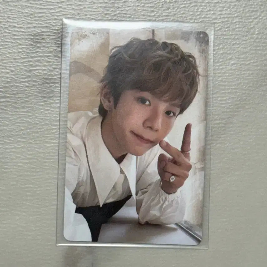 2025시즌그리팅 포카 쇼타로