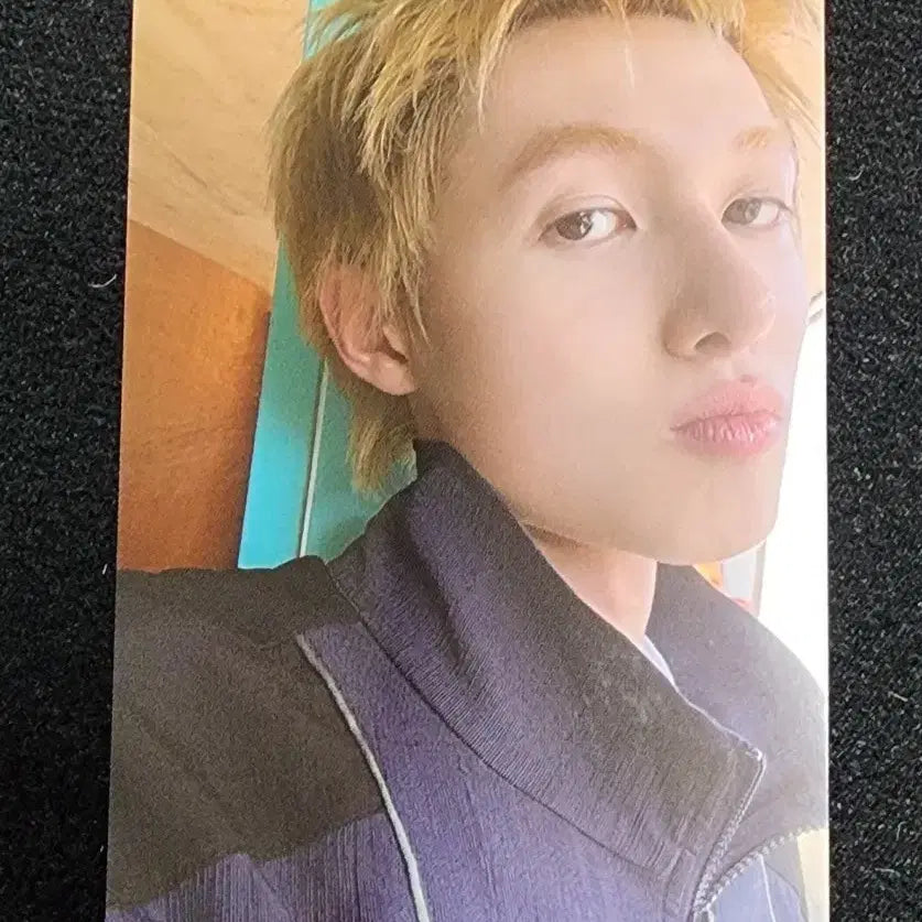 코르티스 시그 위버스 특전 마틴 포카