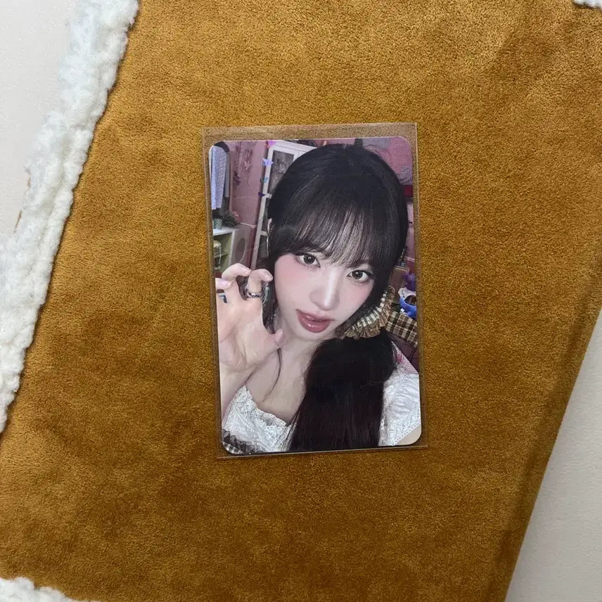 아이브 2026 시그 리즈