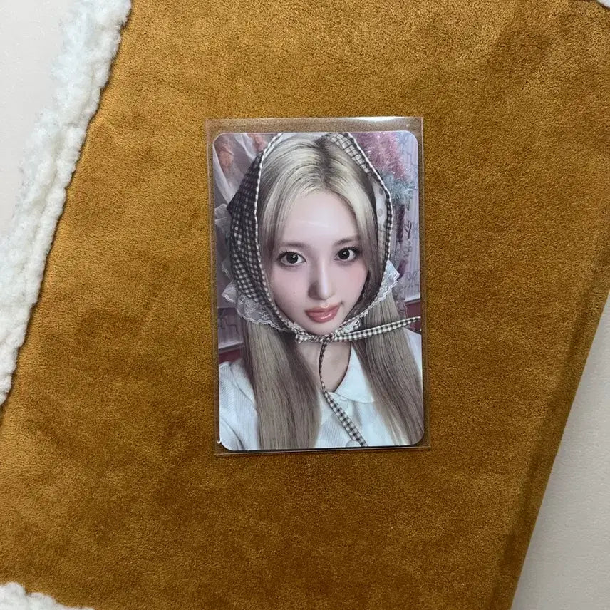 아이브 2026 시그 가을