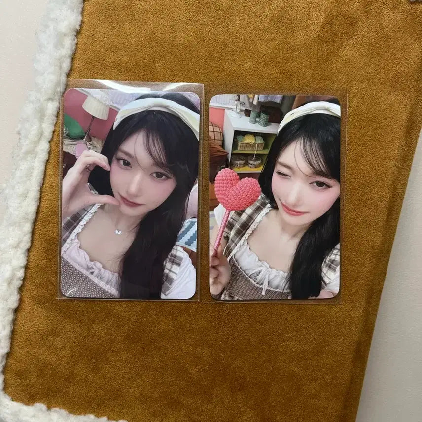 아이브 2026 시그 특전 이서 일괄