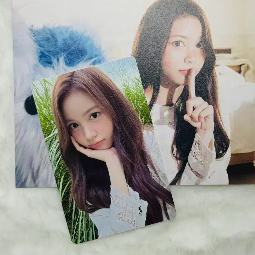 2026 하츠투하츠 시즌그리팅 PHOTO CARD SET 카르멘