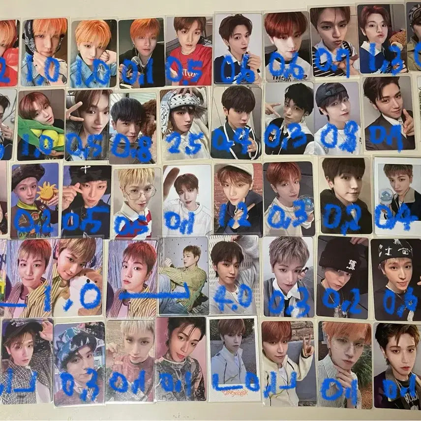 보넥도 리우 포카 양도