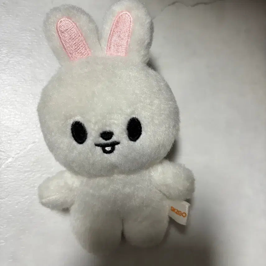 스키주 리빗10cm