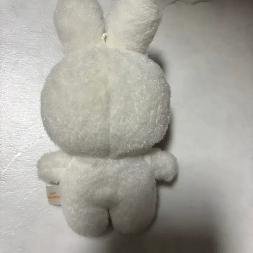 스키주 리빗10cm