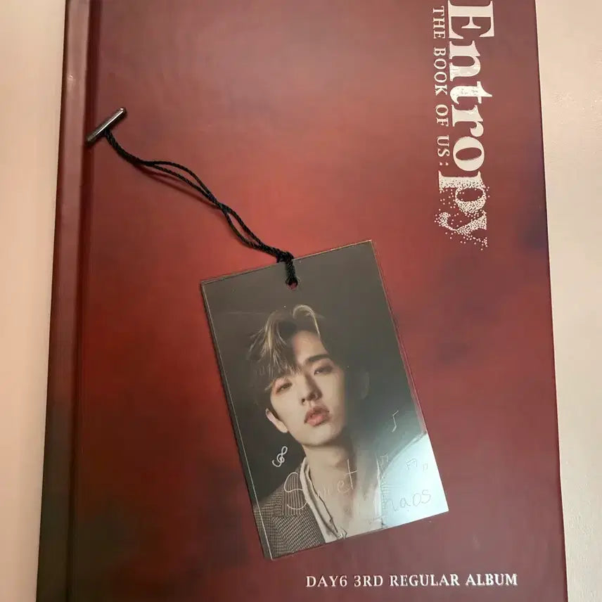 엔트로피 데이식스 개봉앨범