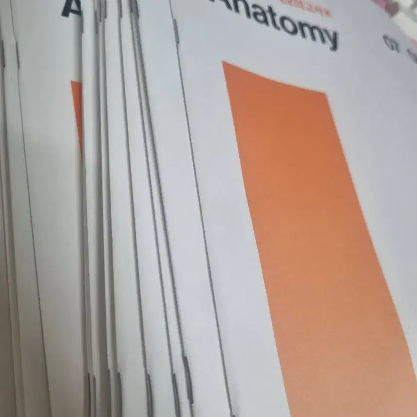 [BUNJANG] Kim Bum-jun 2026 College Scholastic Ability Test K-Mock Exam Questions and Analysis Book / 김범준T 2026학년도 현장강의 강대k모의고사 주요 문항+분석서 7~34