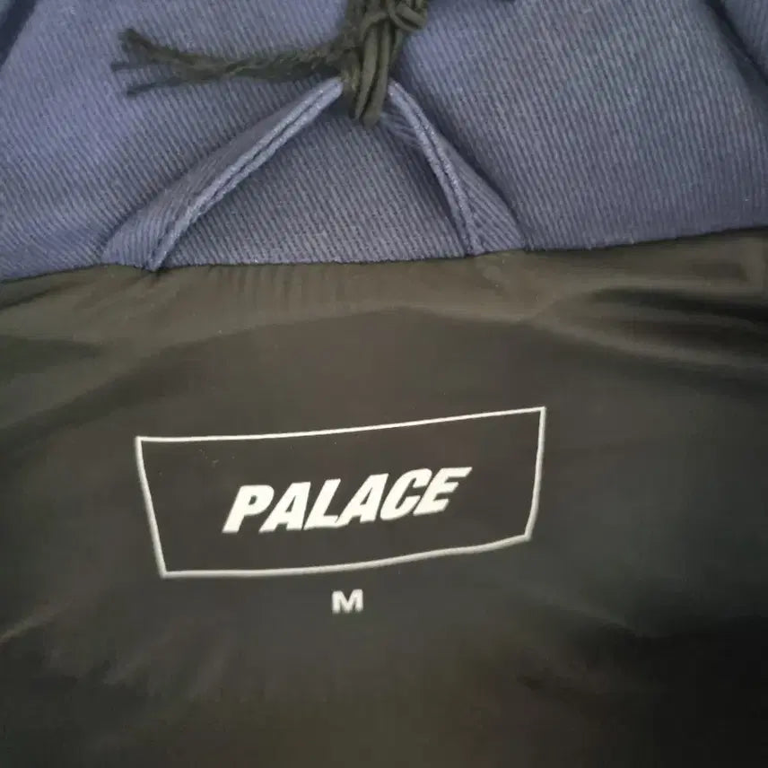 [BUNJANG] Palace Reacto Puffer Jacket / [M] 팔라스 리액토 퍼프 자켓 3m