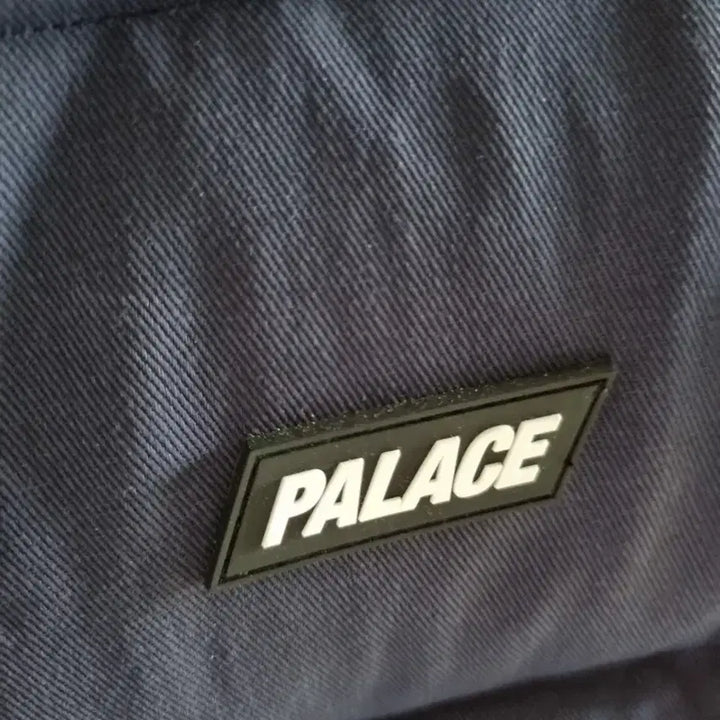 [BUNJANG] Palace Reacto Puffer Jacket / [M] 팔라스 리액토 퍼프 자켓 3m