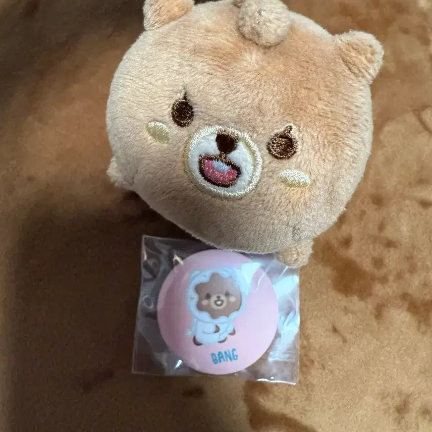 데이식스 쁘띠멀즈 사족보행 방