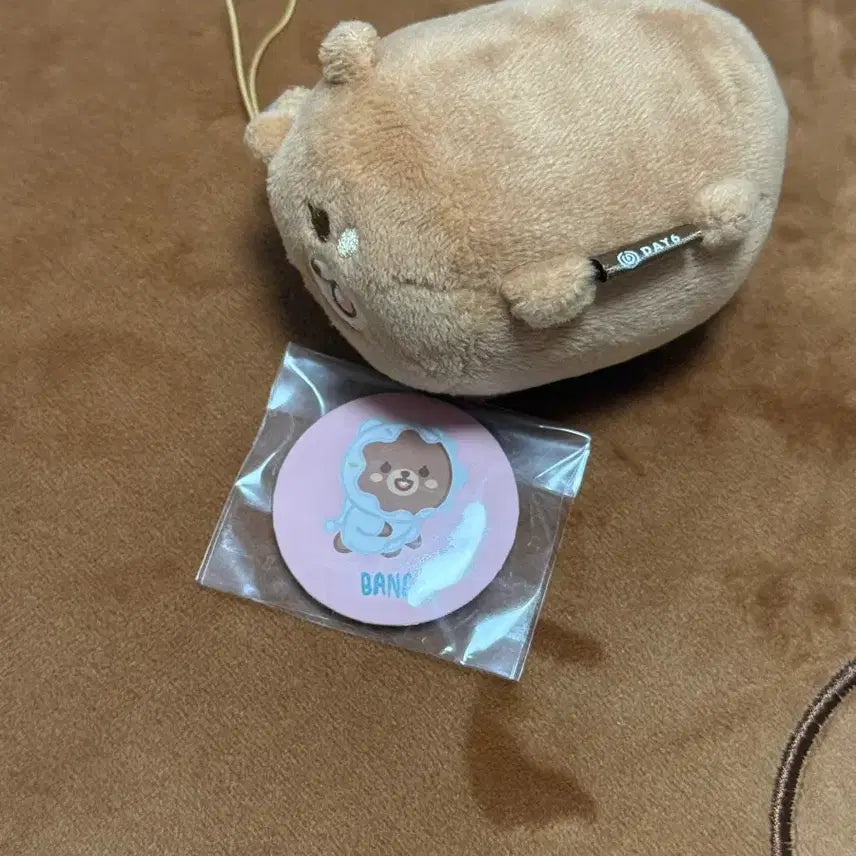 데이식스 쁘띠멀즈 사족보행 방