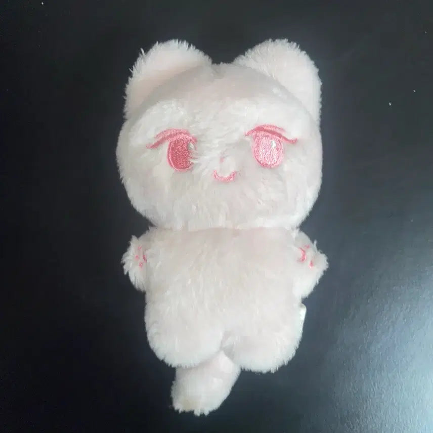 젤냥이 양도합니다 에스파 지젤 인형