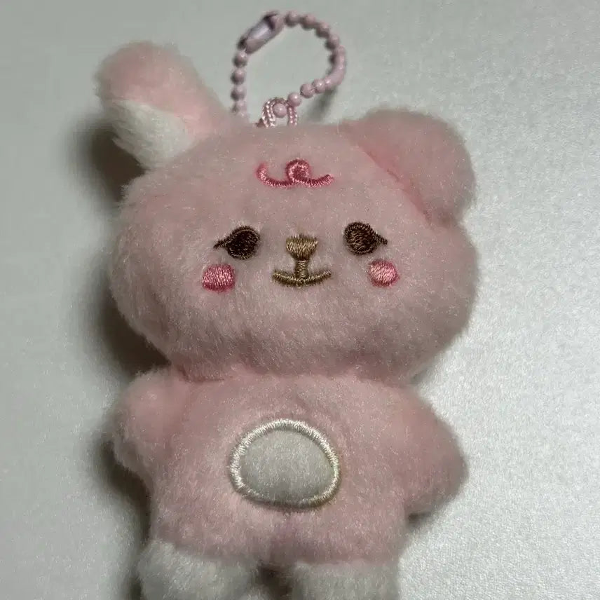 데이식스 쁘쁘멀 필 재양도