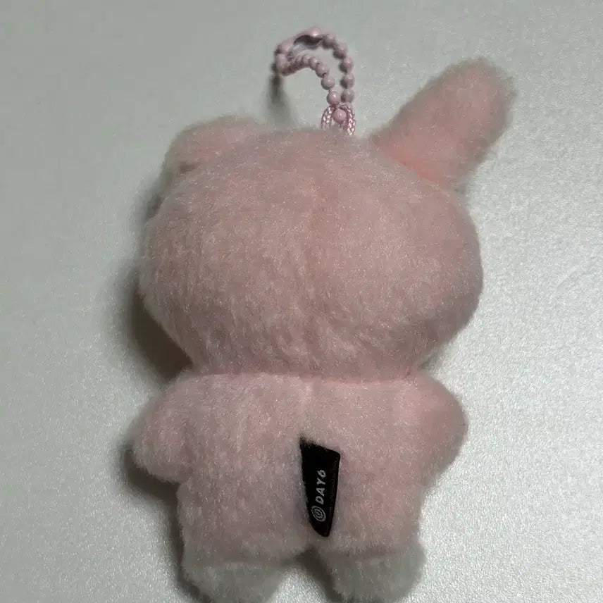 데이식스 쁘쁘멀 필 재양도