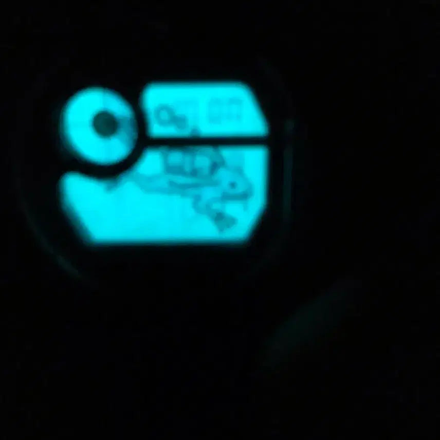 [BUNJANG] G-Shock Frogman DW-8200B-9A Watch / dw-8200b-9a(프로그맨 흑금원판)미사용신품완품, 쥐샥, 지샥